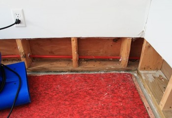 Basement Flood in Rockford, Illinois
