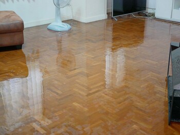 House Flooding Restoration by Good Guys Water Damage Restoration