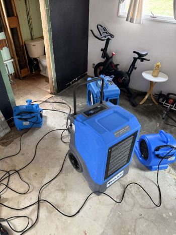 Dry Out Services in Ridott by Good Guys Water Damage Restoration