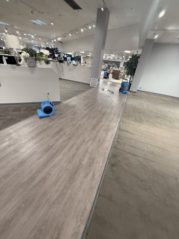 Restoration Services in Ridott, Illinois by Good Guys Water Damage Restoration